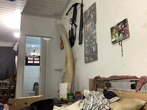 raphadoors19 online show from November 23, 2025, 7:57 pm