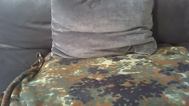 Snapshot of Olliko1 chatting on February 9, 2025, 1:56 pm Olliko1 online show from February 9, 2025, 1:56 pm