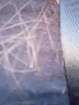 Snapshot of piiruwx chatting on March 4, 2026, 9:22 pm piiruwx online show from March 4, 2026, 9:22 pm