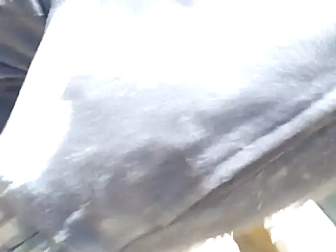 Diablo9804 online show from March 10, 2026, 6:45 pm