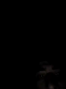 SpeedMagnumBlade6669 online show from February 14, 2026, 7:19 am