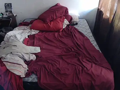 Snapshot of deftoolceles chatting on February 12, 2026, 6:51 pm deftoolceles online show from February 12, 2026, 6:51 pm