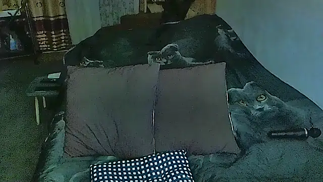 sex2 online show from October 20, 2025, 9:26 pm