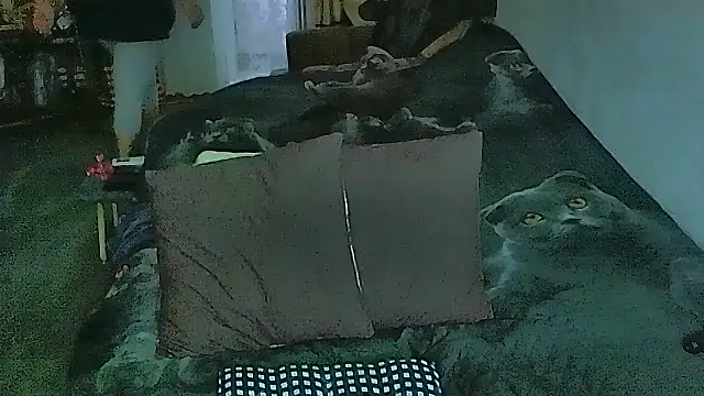 sex2 online show from April 9, 2026, 12:45 am