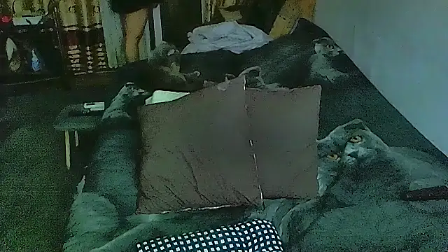 sex2 online show from December 1, 2025, 10:10 pm