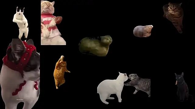 aberaaruba online show from November 5, 2025, 11:57 am