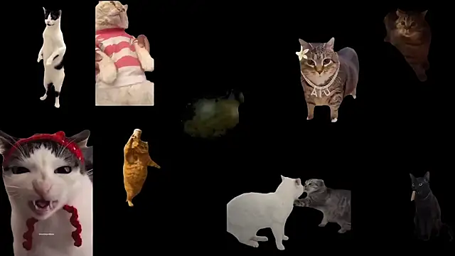 aberaaruba online show from November 6, 2025, 2:43 pm