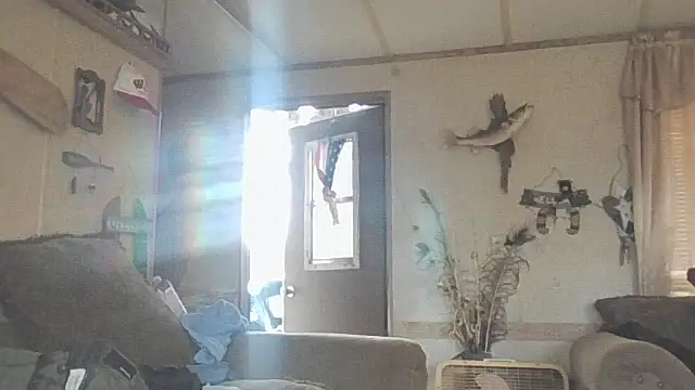 Yankeedave420 online show from November 19, 2025, 6:08 pm