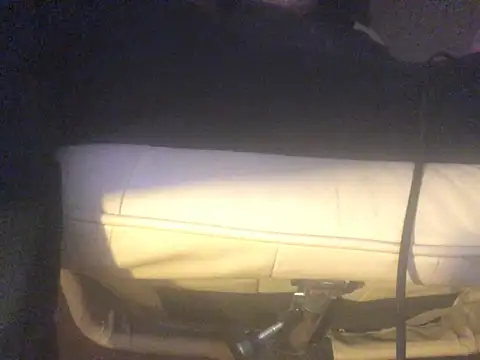 Snapshot of translove chatting on March 20, 2025, 8:29 pm translove online show from March 20, 2025, 8:29 pm