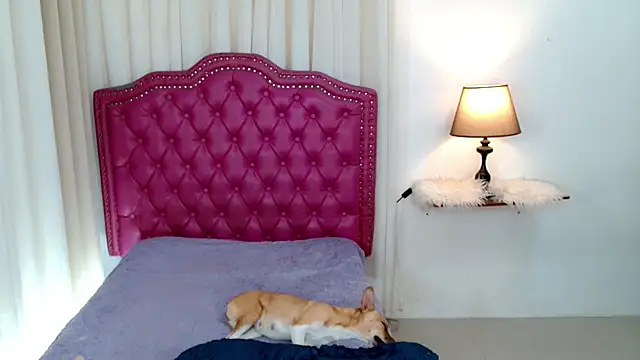 Snapshot of DreamLADYBOY chatting on February 24, 2026, 1:06 am DreamLADYBOY online show from February 24, 2026, 1:06 am