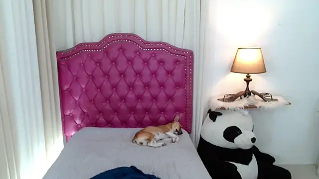 Snapshot of DreamLADYBOY chatting on February 9, 2026, 2:09 am DreamLADYBOY online show from February 9, 2026, 2:09 am