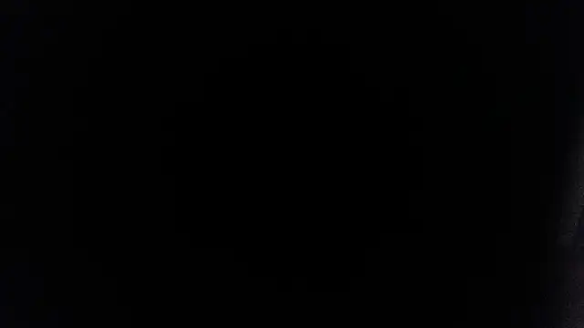 palidin1 online show from July 13, 2026, 1:49 am
