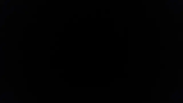 palidin1 online show from June 27, 2026, 7:42 pm