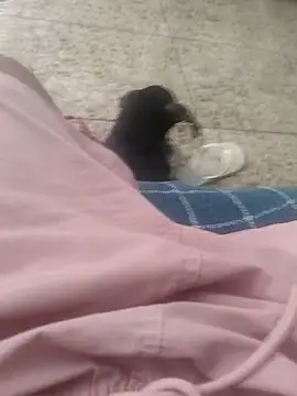 Snapshot of vini4016 chatting on December 20, 2024, 12:05 pm vini4016 online show from December 20, 2024, 12:05 pm