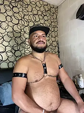 the master foal  online show from April 19, 2026, 7:20 am