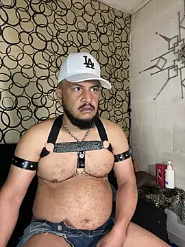 the master foal  online show from March 11, 2026, 7:19 pm