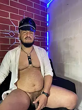 the master foal  online show from February 22, 2026, 4:48 am