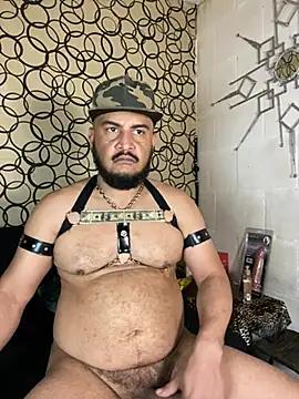 the master foal  online show from March 17, 2026, 11:41 pm