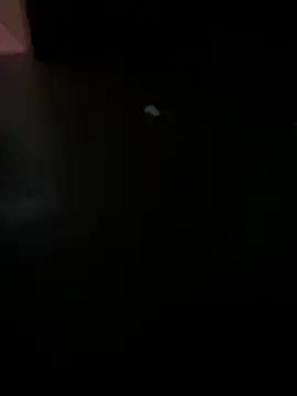 Snapshot of MALEHYPER chatting on December 2, 2025, 8:21 pm MALEHYPER online show from December 2, 2025, 8:21 pm