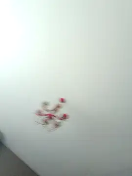 Snapshot of ClubbyEuphory chatting on February 5, 2026, 1:40 pm ClubbyEuphory online show from February 5, 2026, 1:40 pm