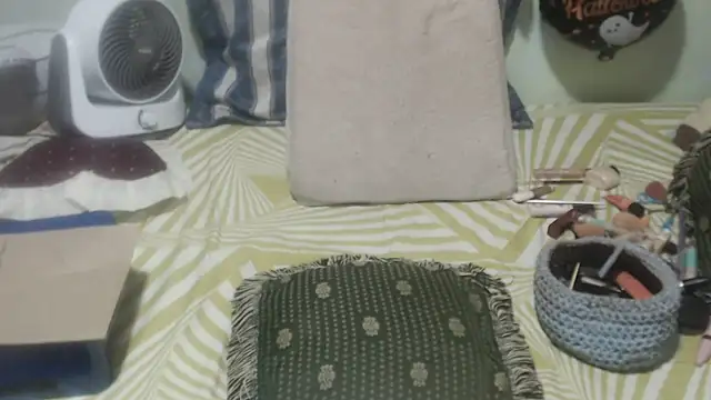 selenax2023 online show from October 28, 2025, 4:17 pm