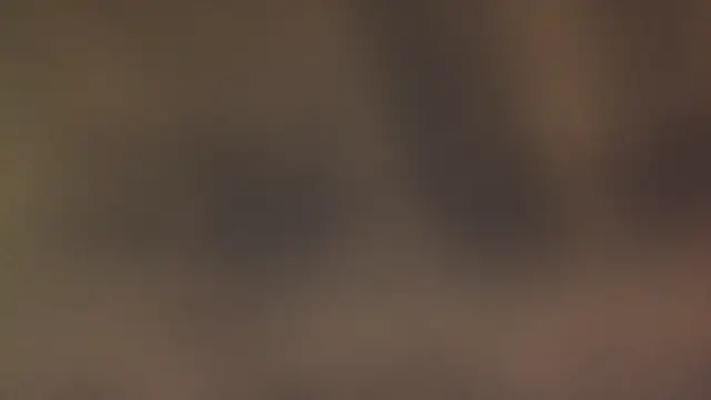 leccaleccafiga online show from March 12, 2026, 6:45 pm