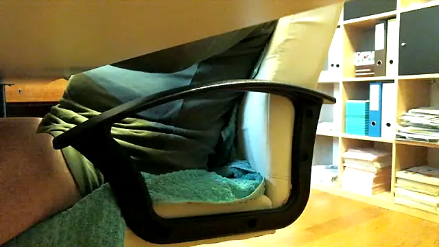 leccaleccafiga online show from April 2, 2026, 3:19 pm