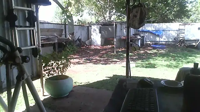 herbie010666 online show from December 5, 2025, 5:17 am