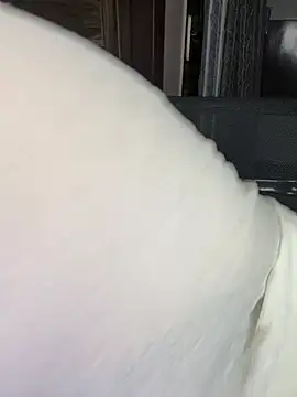 Snapshot of Zoya_Varma004 chatting on April 10, 2026, 2:02 pm Zoya Varma004 online show from April 10, 2026, 2:02 pm