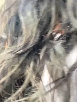 Snapshot of bea3liz chatting on December 18, 2024, 5:52 pm bea3liz online show from December 18, 2024, 5:52 pm