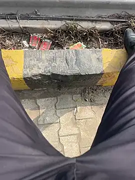 Bareilly Boy1 online show from January 18, 2025, 9:13 am