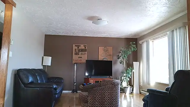 BasicAnt online show from January 11, 2026, 5:20 pm