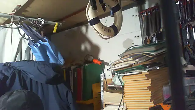 Snapshot of nonnomaturobisex chatting on February 12, 2026, 8:03 am nonnomaturobisex online show from February 12, 2026, 8:03 am