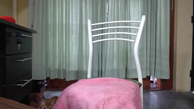 gatitas traviesas online show from April 25, 2026, 11:57 am