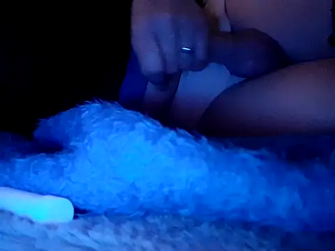 Snapshot of feathersify chatting on February 1, 2026, 4:11 am feathersify online show from February 1, 2026, 4:11 am