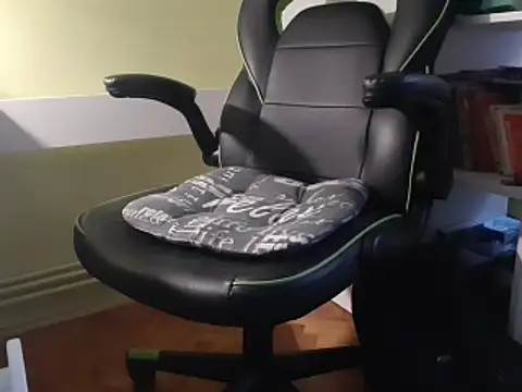 Snapshot of feathersify chatting on February 2, 2026, 6:34 am feathersify online show from February 2, 2026, 6:34 am