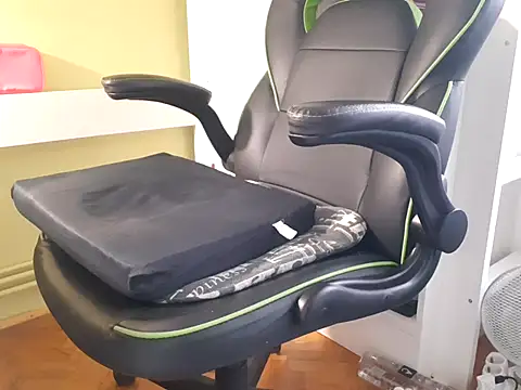 feathersify online show from September 29, 2025, 8:32 am