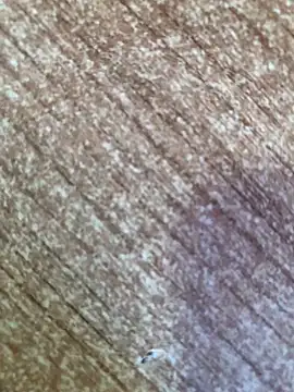 gokhanbey34 online show from October 26, 2025, 8:48 am