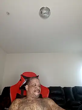 yellowwetfox online show from February 13, 2026, 3:12 pm