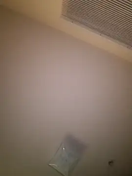 Snapshot of yellowwetfox chatting on March 29, 2026, 3:41 am yellowwetfox online show from March 29, 2026, 3:41 am