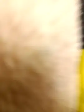 Snapshot of yellowwetfox chatting on March 22, 2026, 10:55 pm yellowwetfox online show from March 22, 2026, 10:55 pm