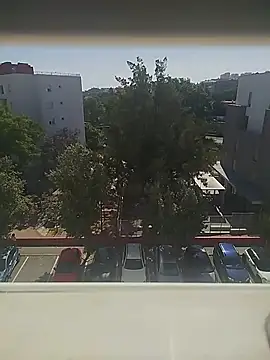 manecas3132 online show from May 28, 2026, 3:51 pm