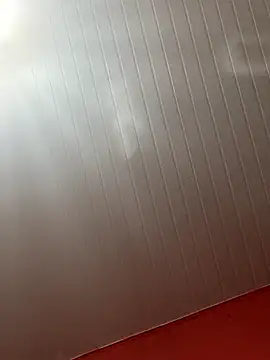 pimenta gaby online show from January 8, 2026, 4:35 pm