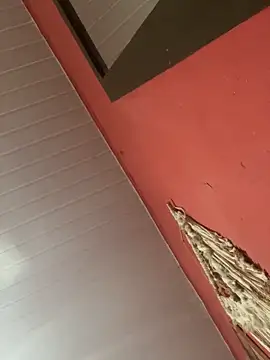 pimenta gaby online show from November 4, 2025, 11:03 am