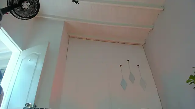 swt-booty online show from October 18, 2025, 4:31 pm