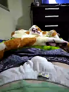 shiiank online show from July 17, 2026, 12:52 am