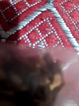 XBHUUME online show from February 1, 2025, 10:59 am