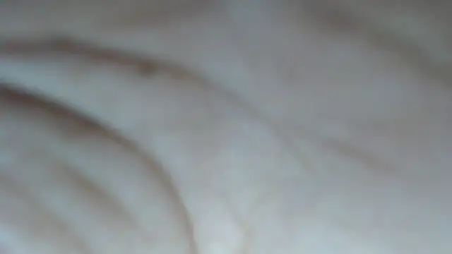 swt shadow online show from February 14, 2026, 8:09 pm