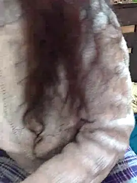 Diya 143 online show from December 16, 2025, 7:12 am