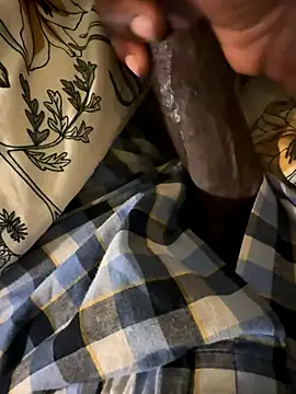 little0245 online show from November 17, 2025, 3:54 am